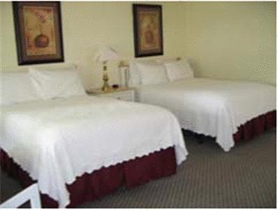 Capewind Waterfront Resort Falmouth Esterno foto